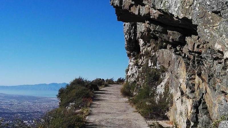 The Jeep track heading back down to Constantia Nek The Jeep track heading back down to Constantia Nek